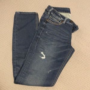 Silver Jeans Joga Jeans